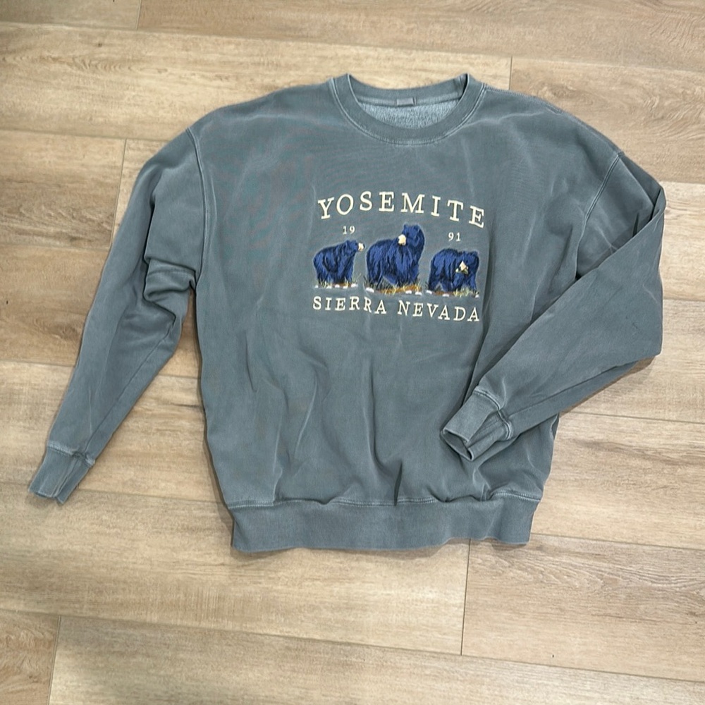 Brandy MelvilleJ. GaltYosemite Sierra Nevada Gray Sweat Shirt